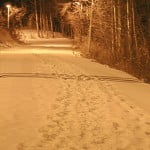Path