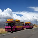 Image of two pink busses from my travels